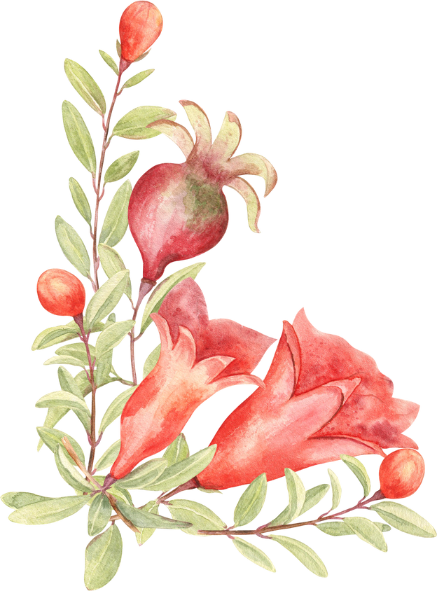 Pomegranate Fruits and Flowers Bouquet in Watercolor